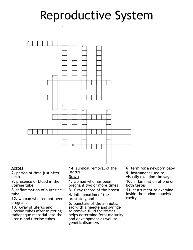 Reproductive System Crossword