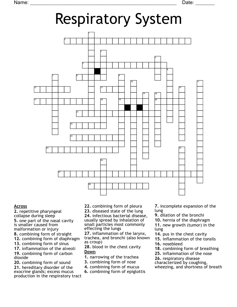 Respiratory System Crossword