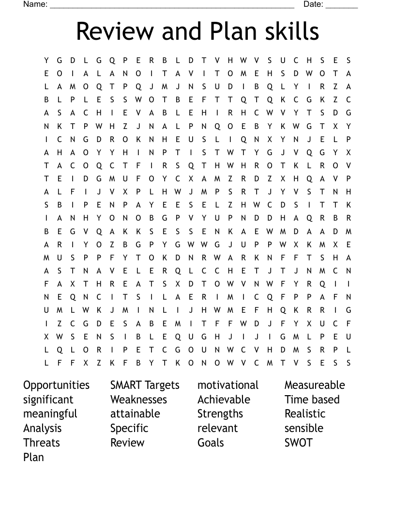 Review and Plan skills Word Search