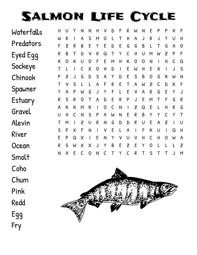 Salmon Life Cycle Word Search