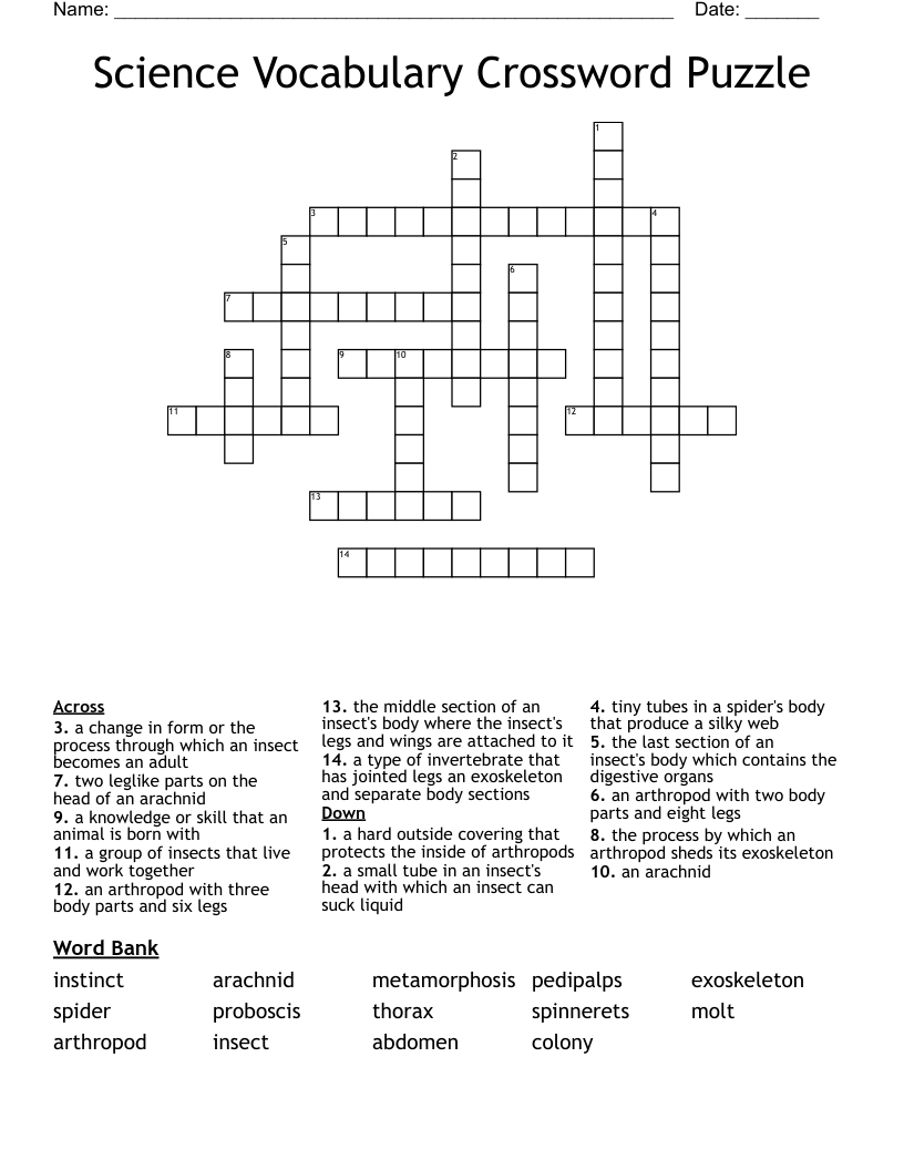 Science Vocabulary Crossword Puzzle