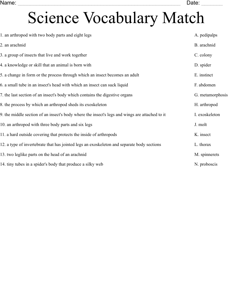 Science Vocabulary Match Worksheet