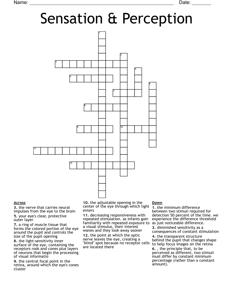 Sensation & Perception Crossword