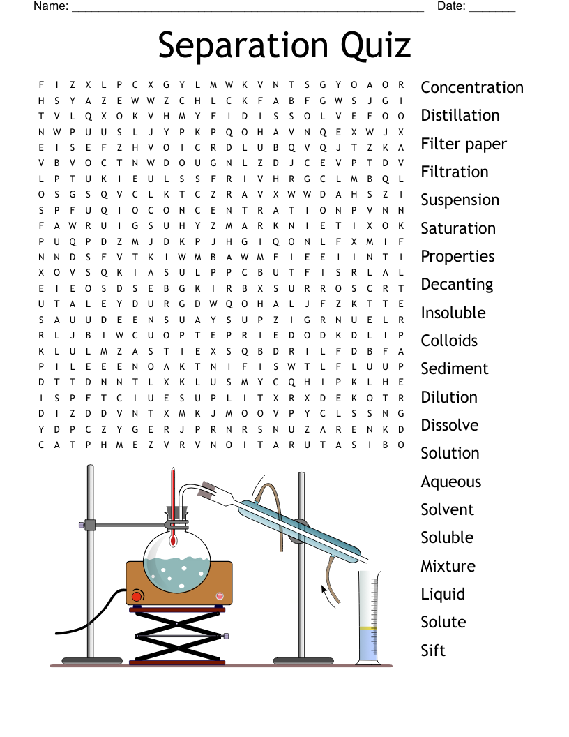 Separation Quiz Word Search