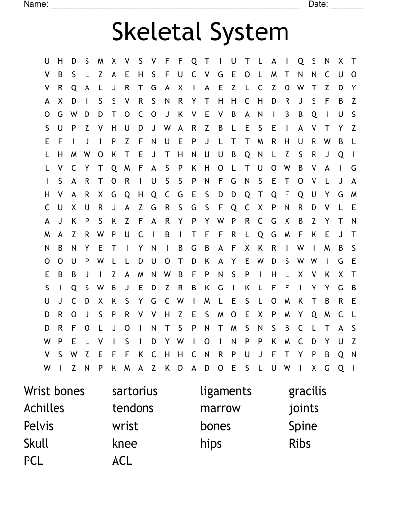 Skeletal System Word Search