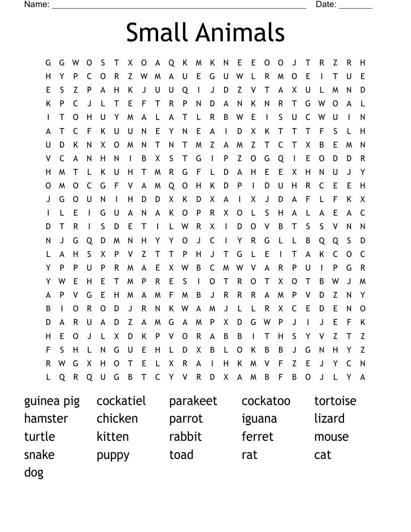 Small Animals Word Search