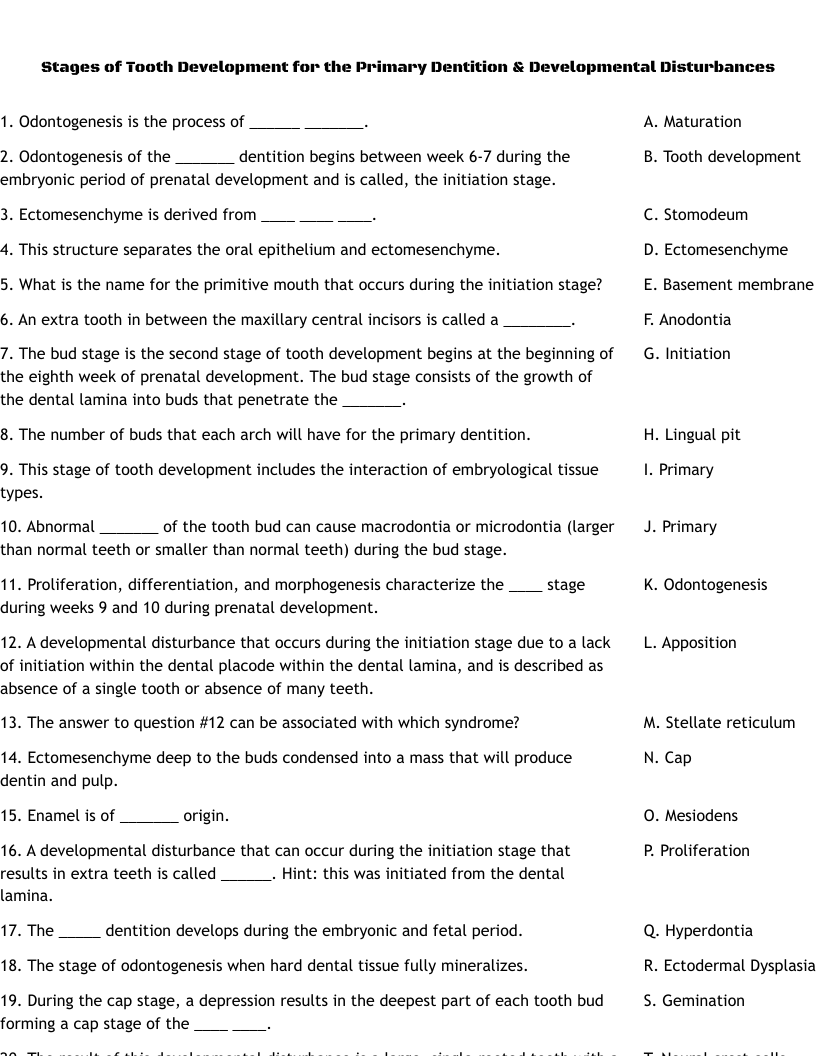 Stages of Tooth Development for the Primary Dentition & Developmental Disturbances Worksheet