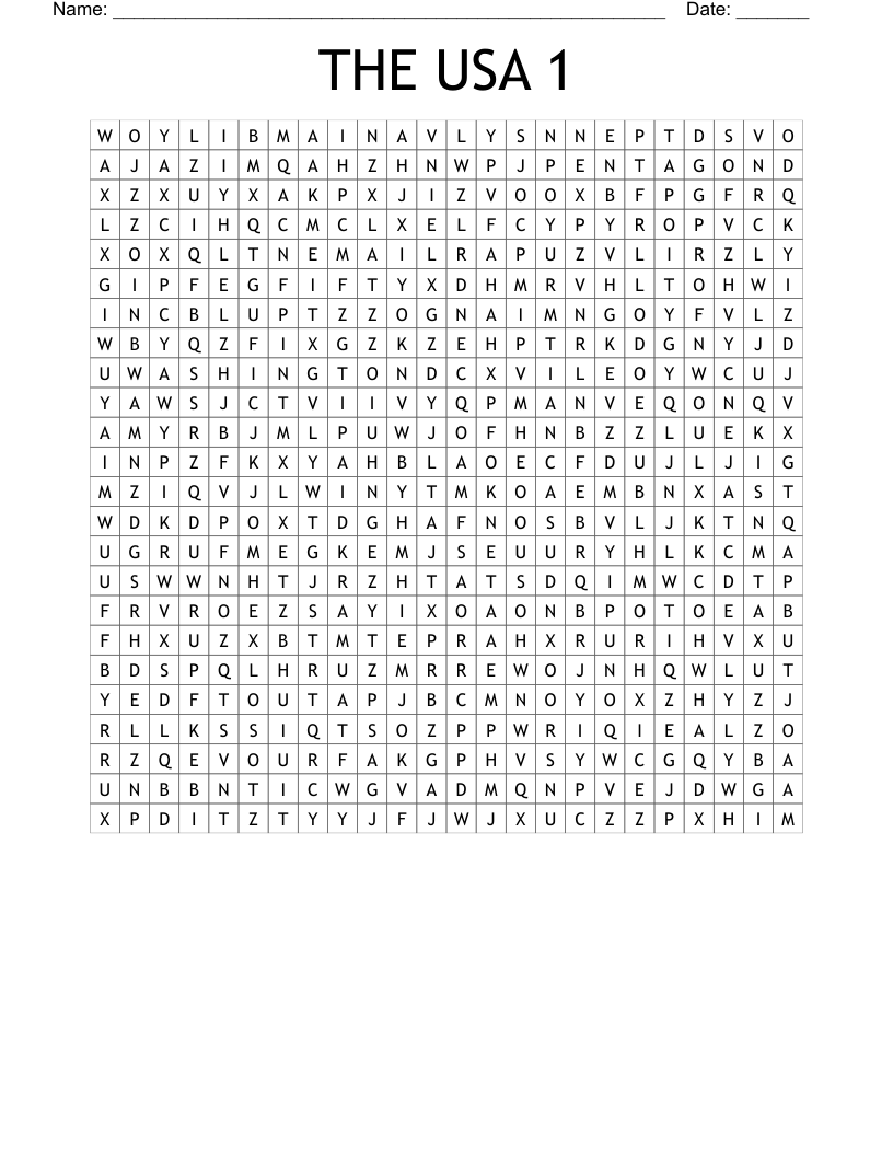 THE USA 1 Word Search