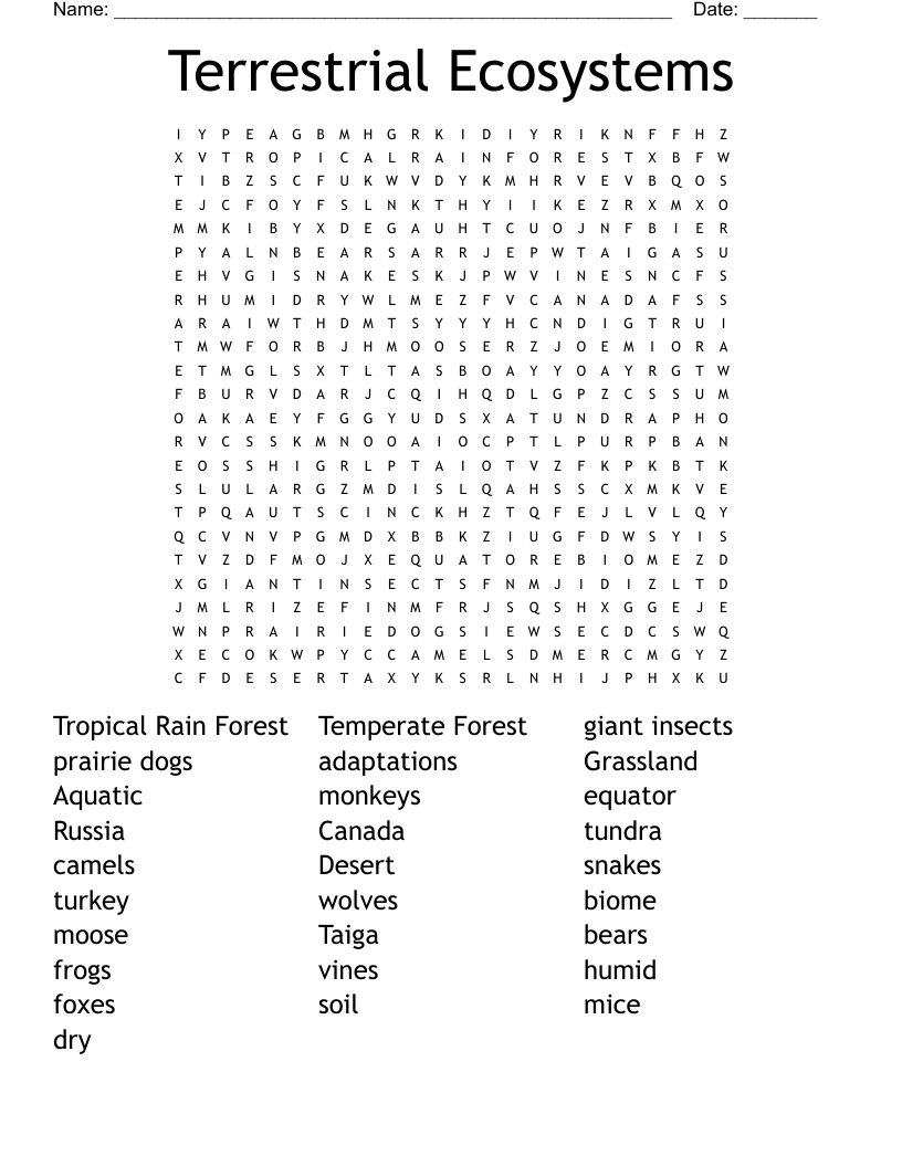 Terrestrial Ecosystems Word Search