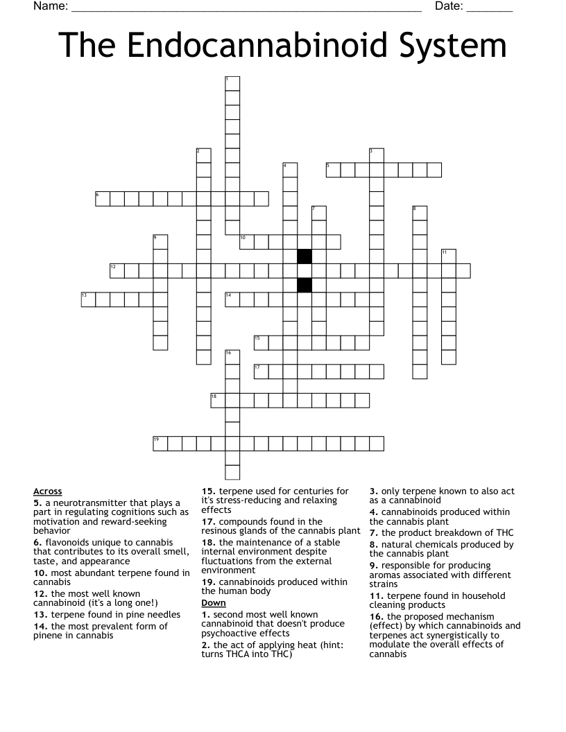 The Endocannabinoid System Crossword