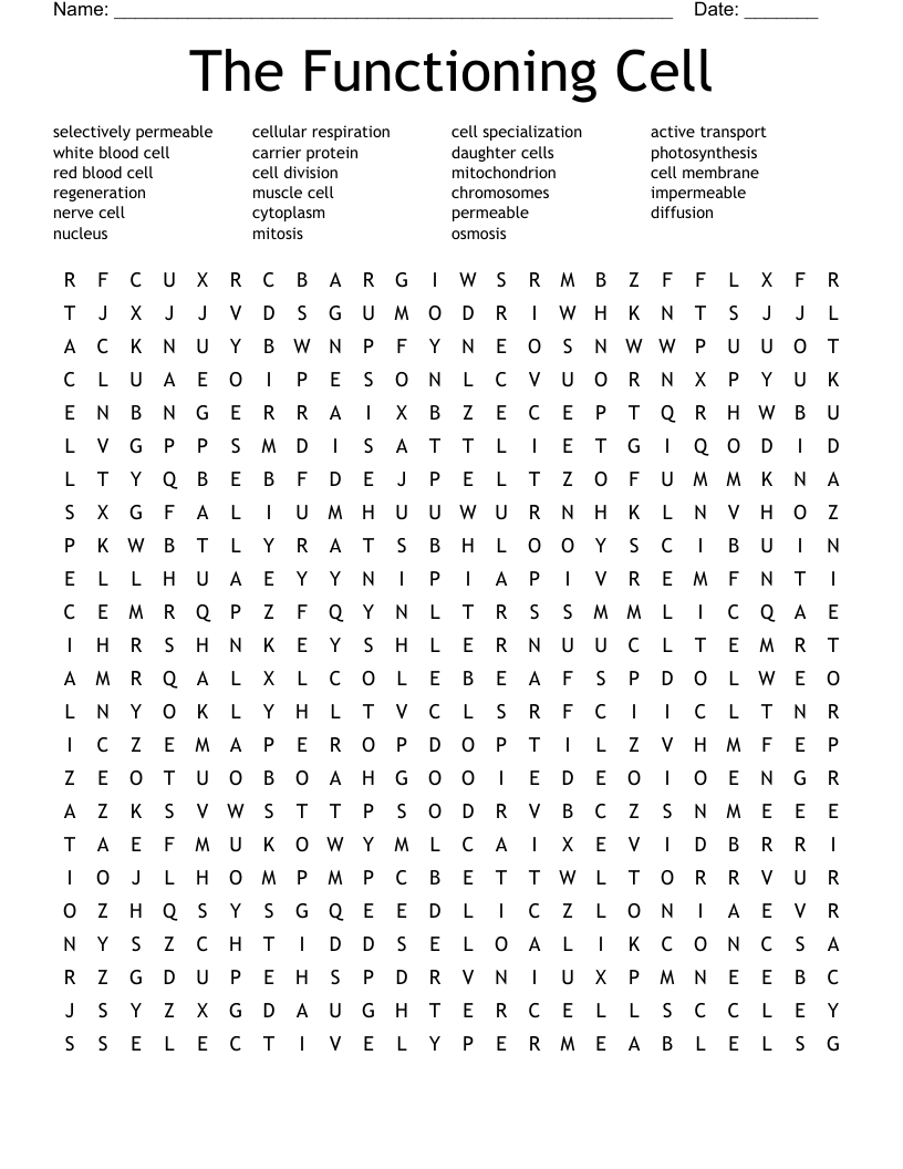 The Functioning Cell Word Search