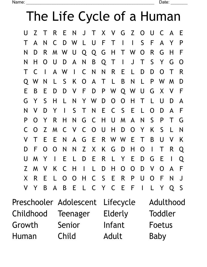 The Life Cycle of a Human Word Search