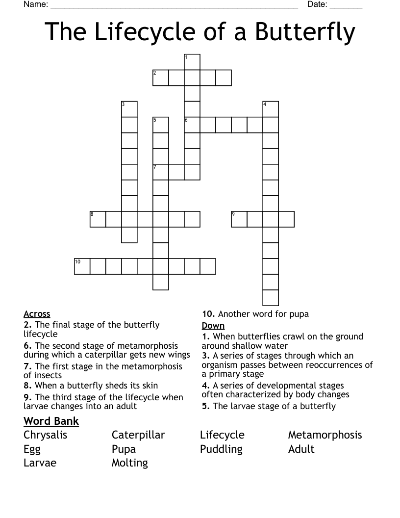 The Lifecycle of a Butterfly Crossword