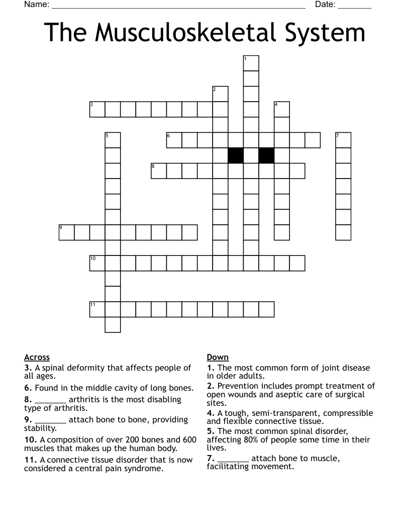 The Musculoskeletal System Crossword