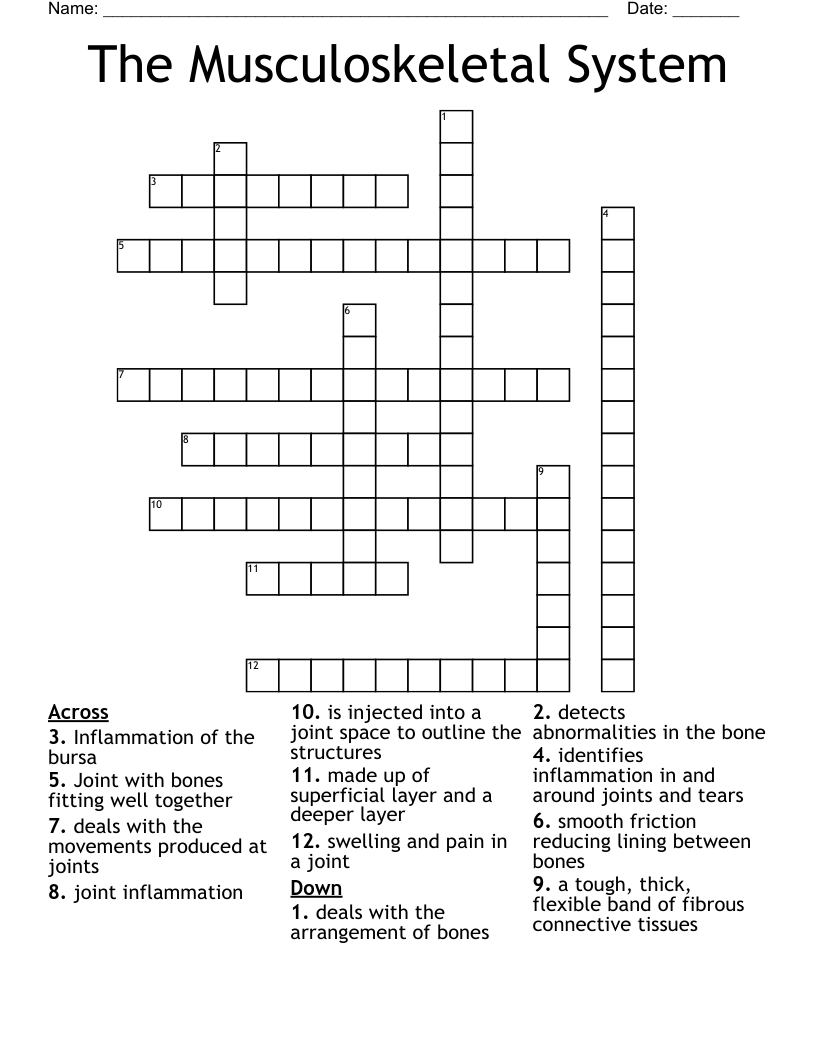 The Musculoskeletal System Crossword