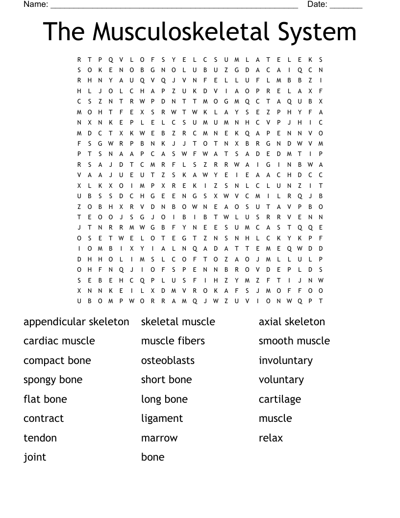 The Musculoskeletal System Word Search