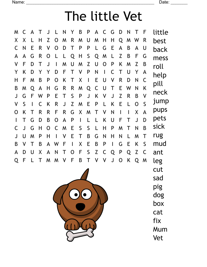 The little Vet Word Search