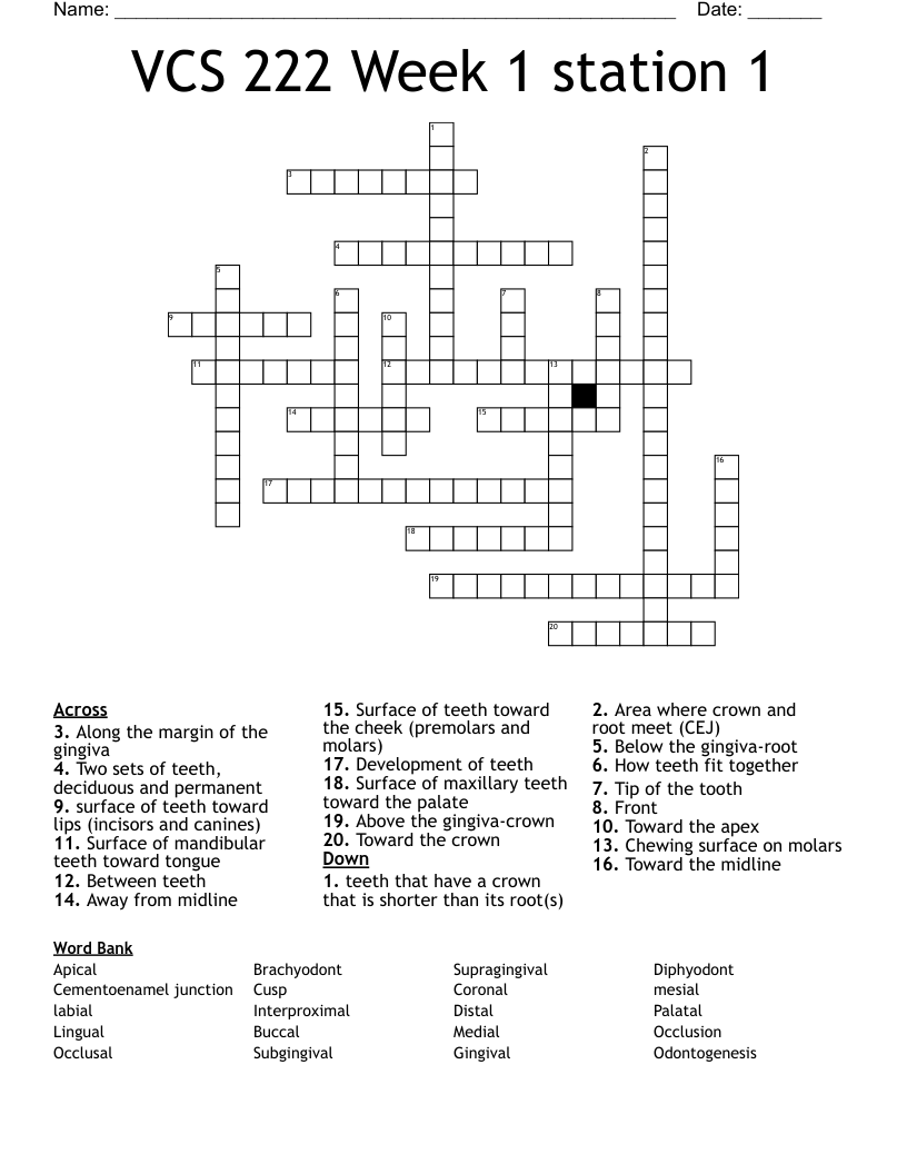 VCS 222 Week 1 station 1 Crossword