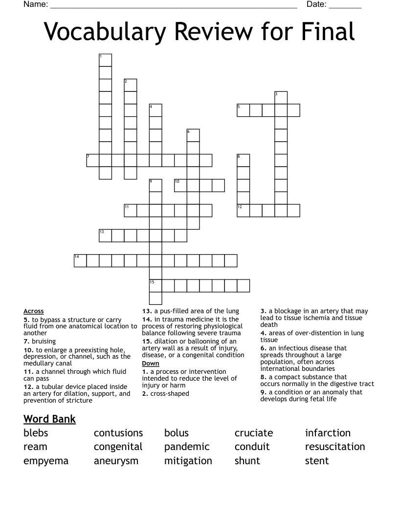 Vocabulary Review for Final Crossword