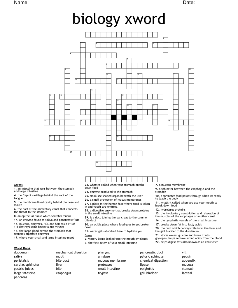 biology xword Crossword