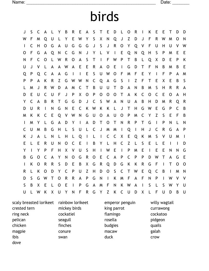 birds Word Search