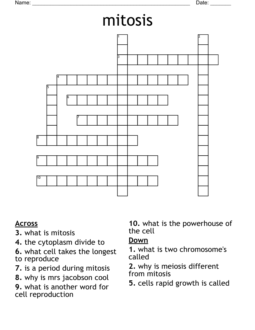 mitosis Crossword