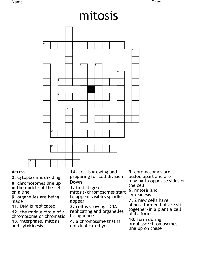 mitosis Crossword