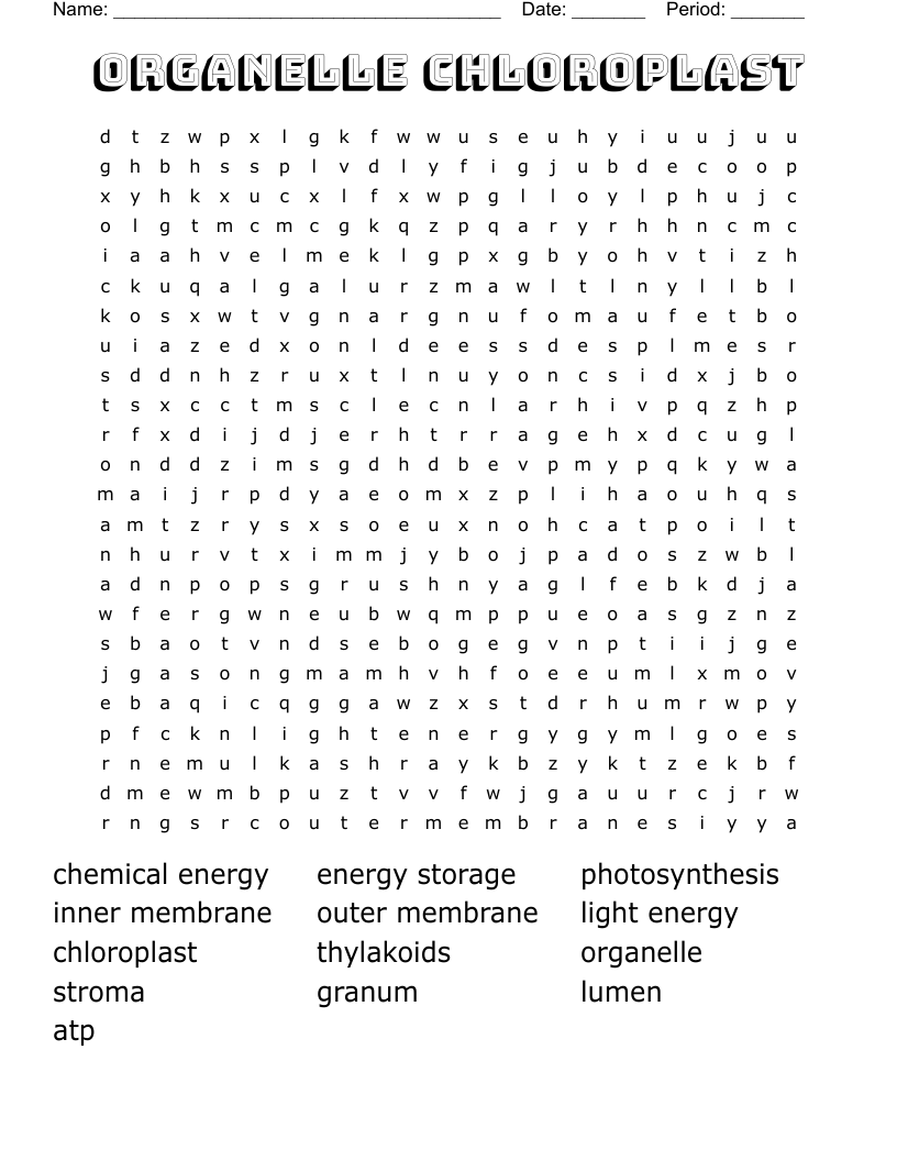 organelle chloroplast Word Search