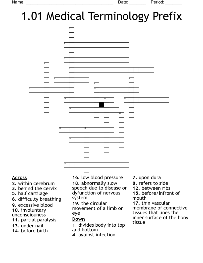 1.01 Medical Terminology Prefix Crossword