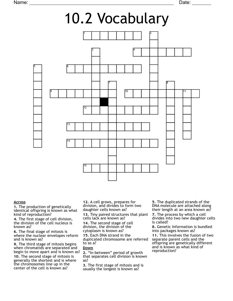 10.2 Vocabulary  Crossword