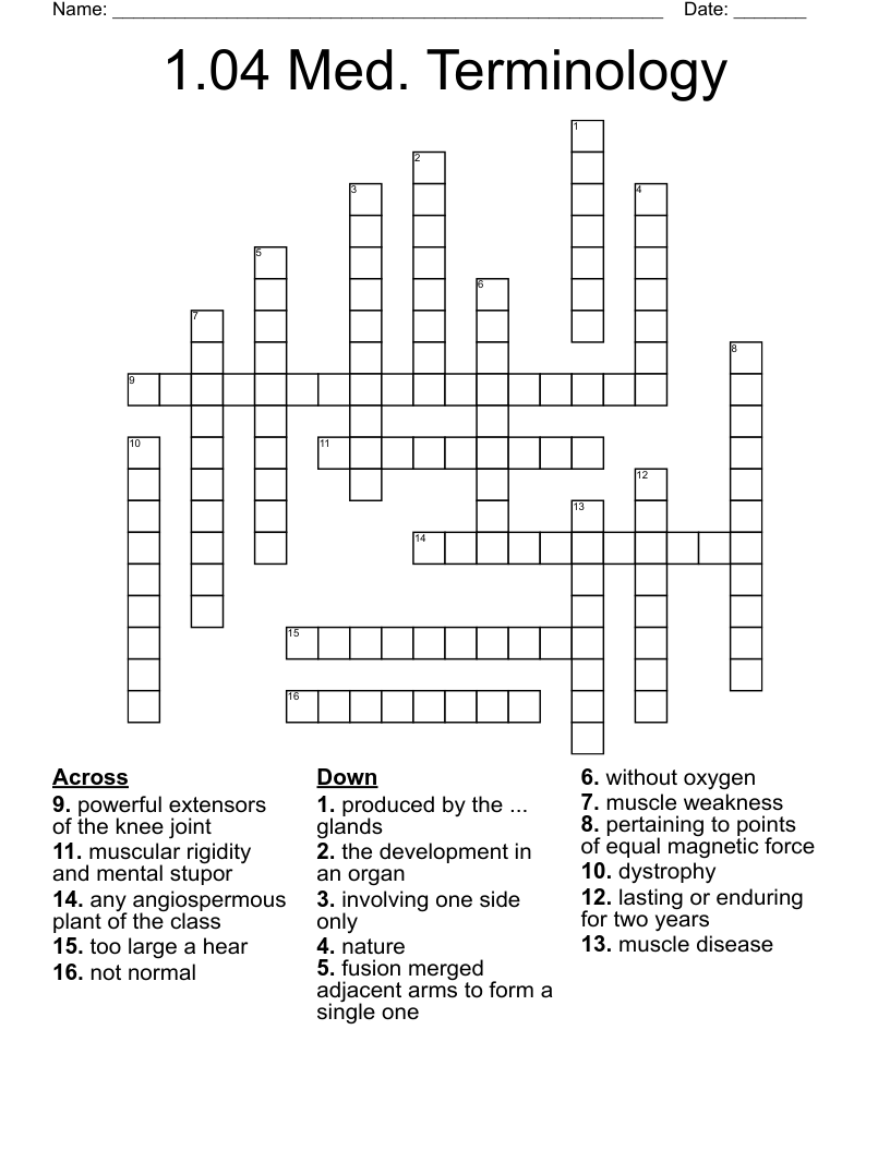 1.04 Med. Terminology Crossword