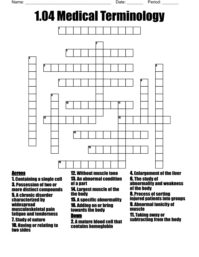 1.04 Medical Terminology  Crossword