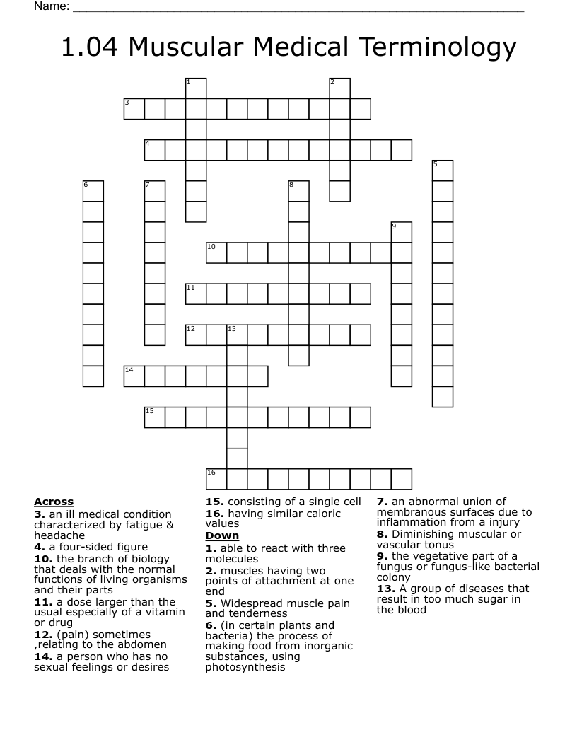 1.04 Muscular Medical Terminology Crossword