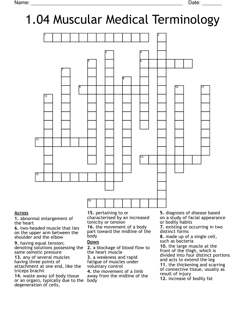 1.04 Muscular Medical Terminology Crossword