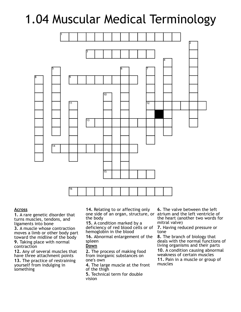 1.04 Muscular Medical Terminology Crossword