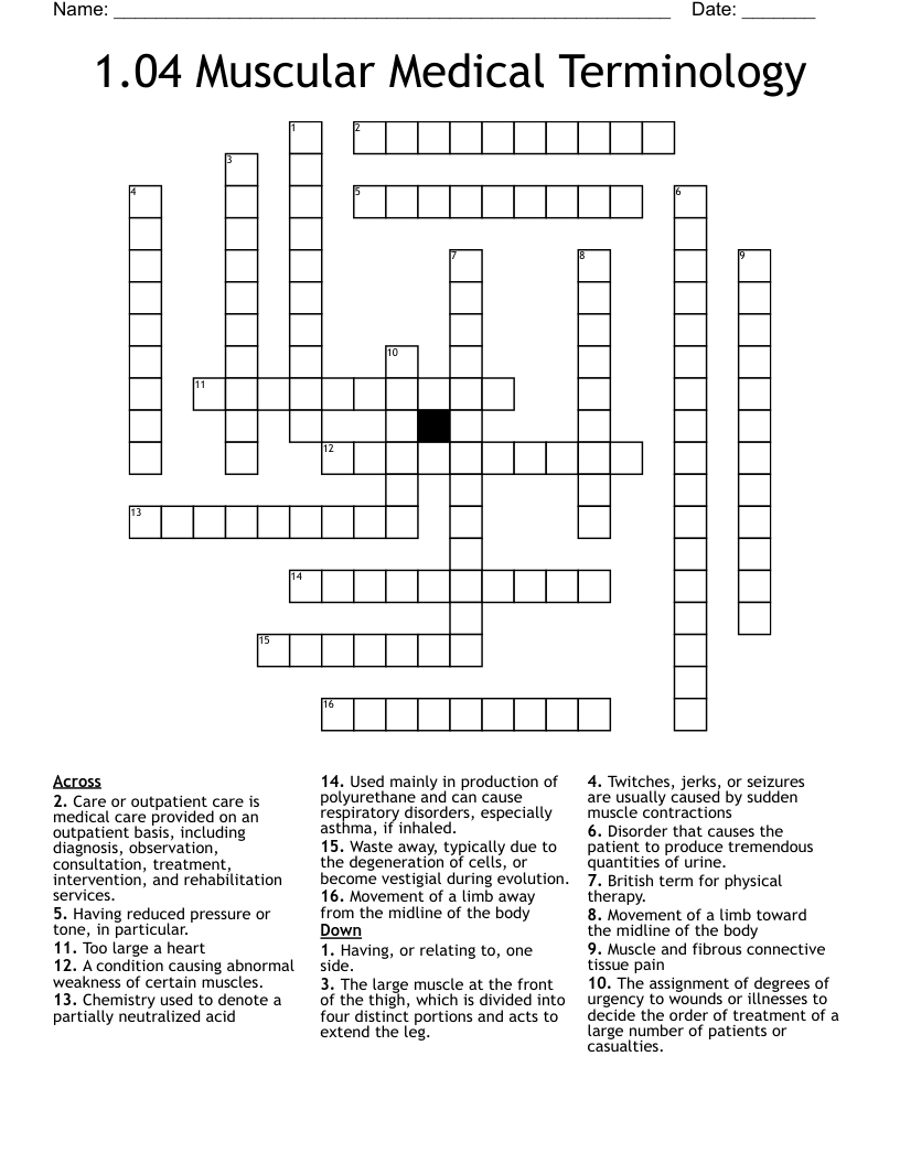 1.04 Muscular Medical Terminology Crossword