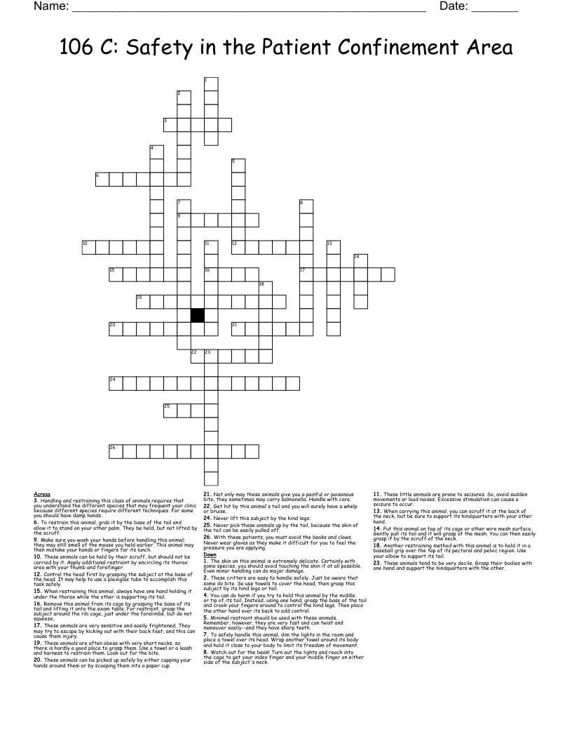 106 C: Safety in the Patient Confinement Area Crossword