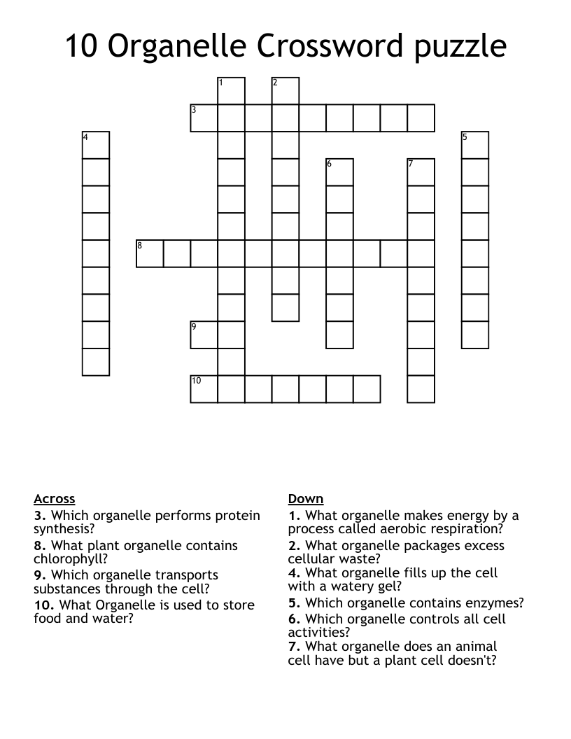 10 Organelle Crossword puzzle 