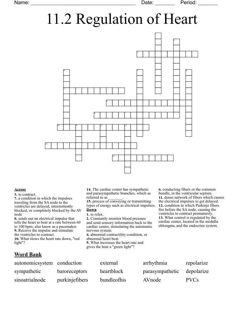 11.2 Regulation of Heart Crossword