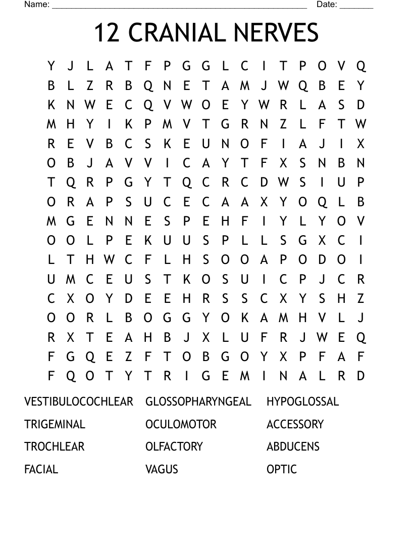 12 CRANIAL NERVES Word Search