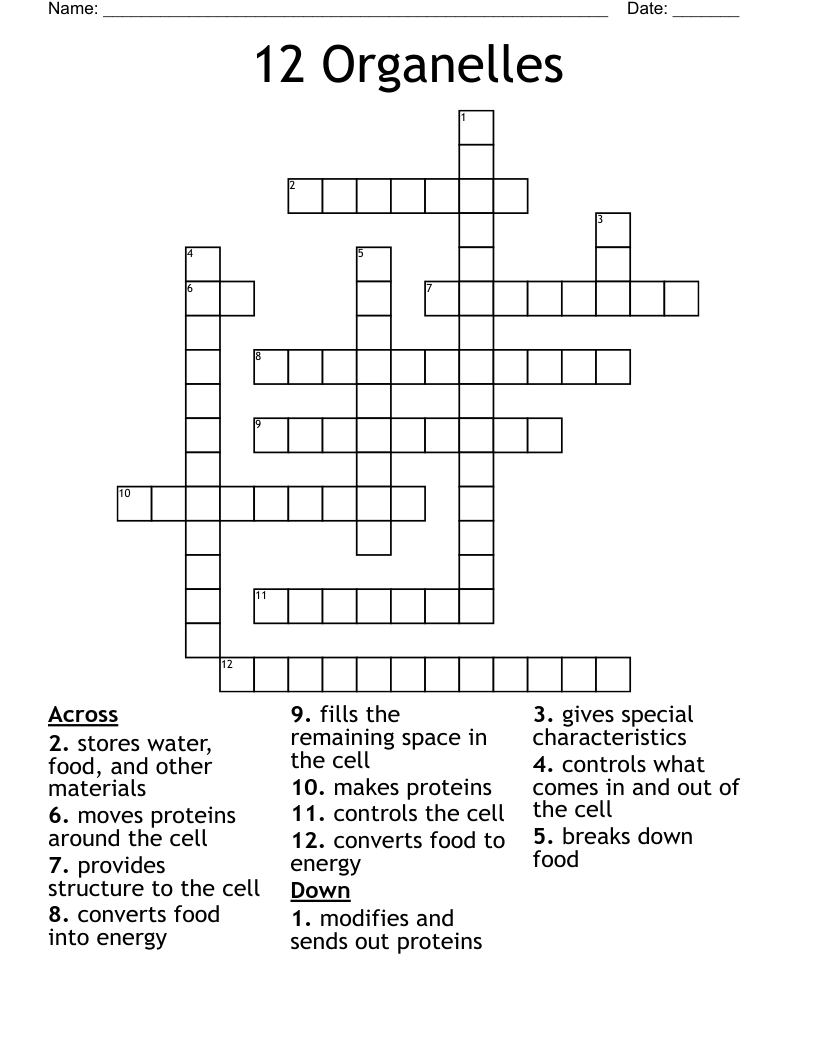 12 Organelles Crossword