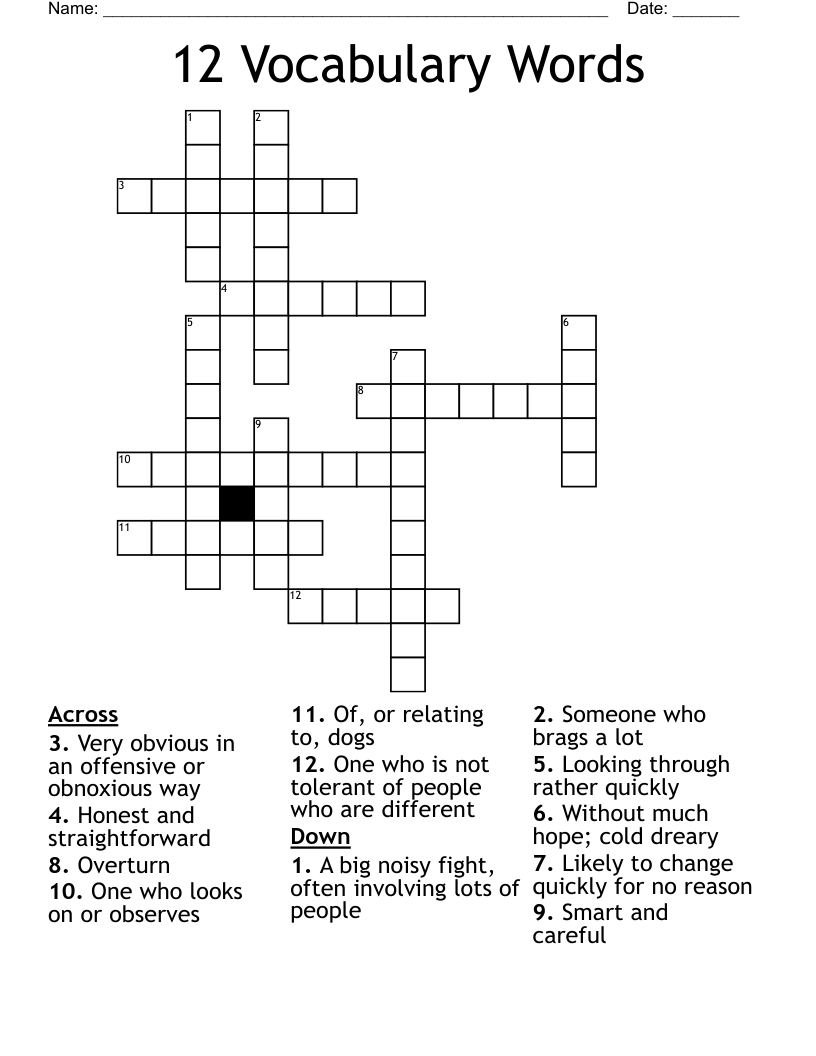 12 Vocabulary Words Crossword