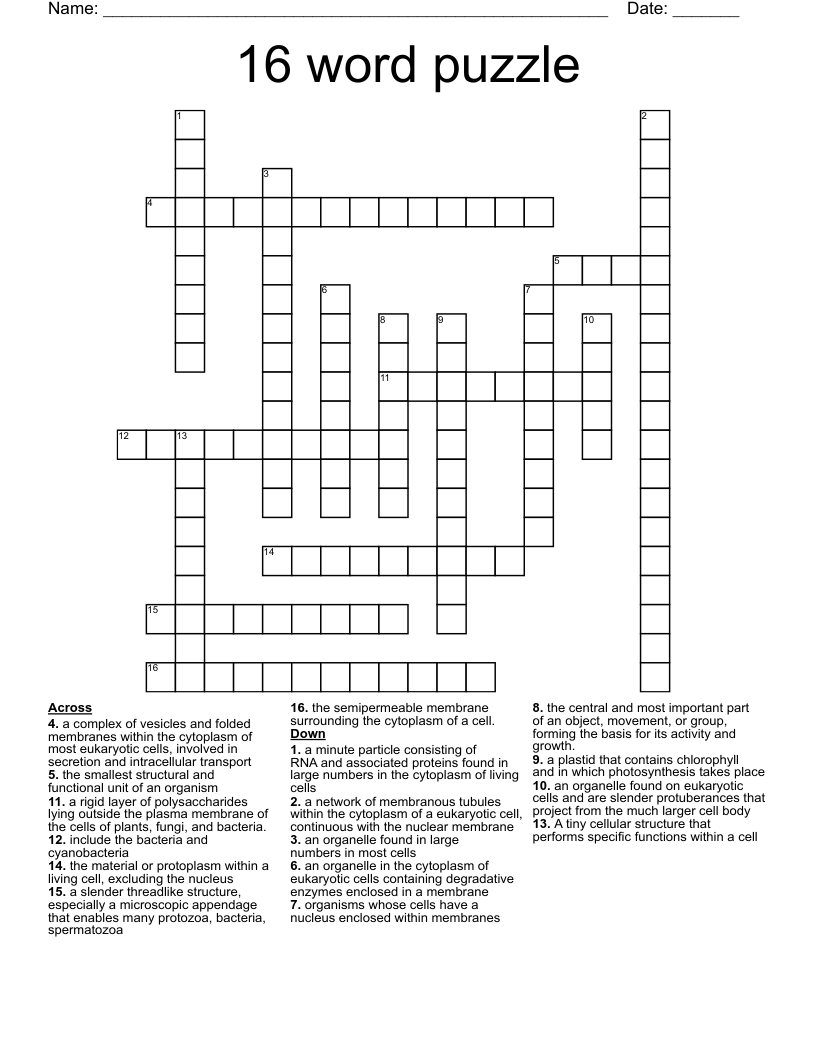 16 word puzzle  Crossword