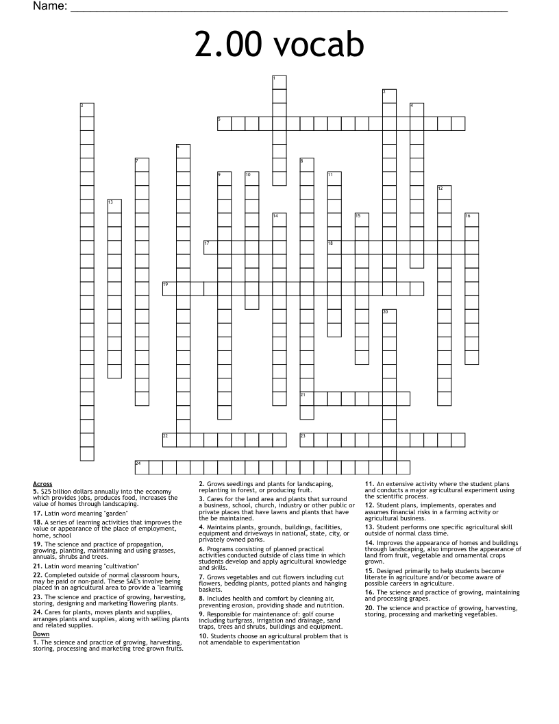 2.00 vocab  Crossword