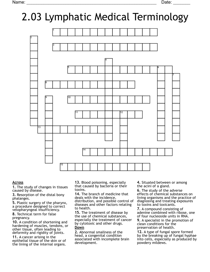 2.03 Lymphatic Medical Terminology Crossword
