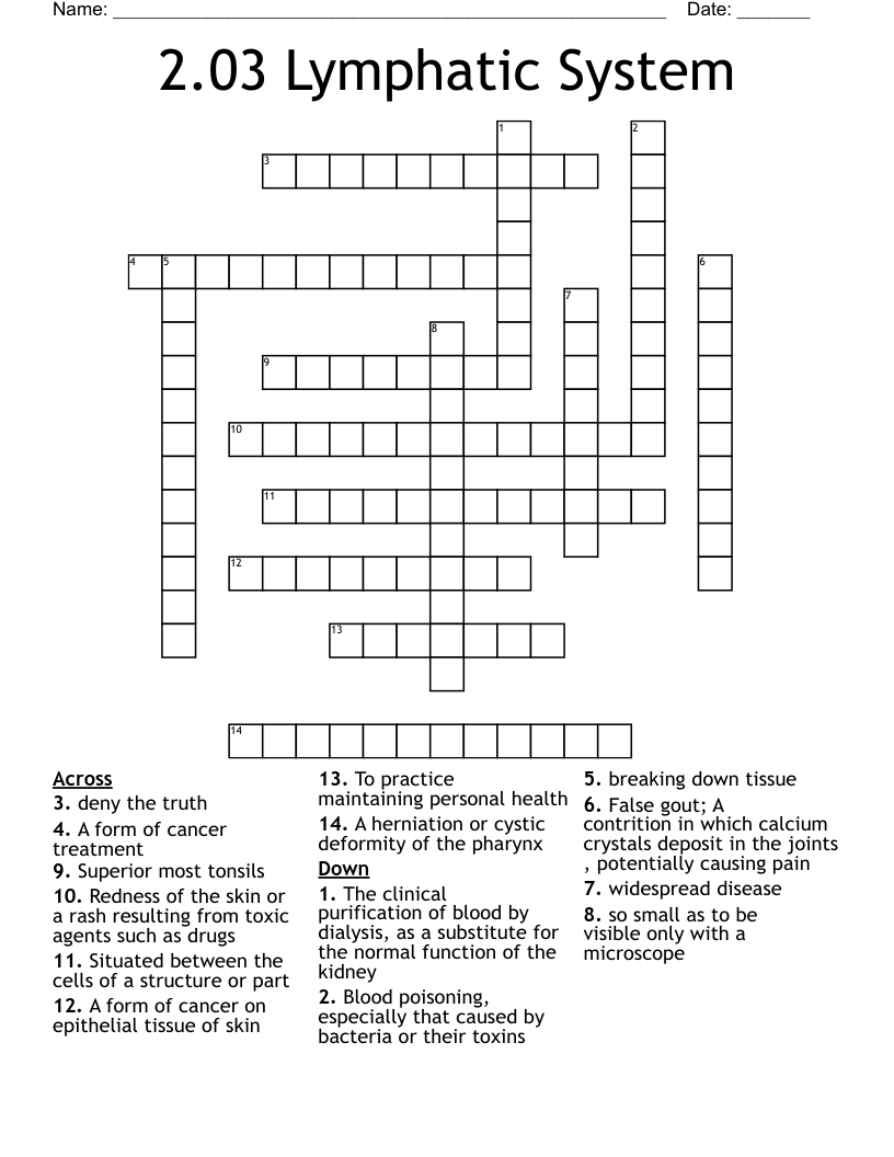 2.03 Lymphatic System Crossword