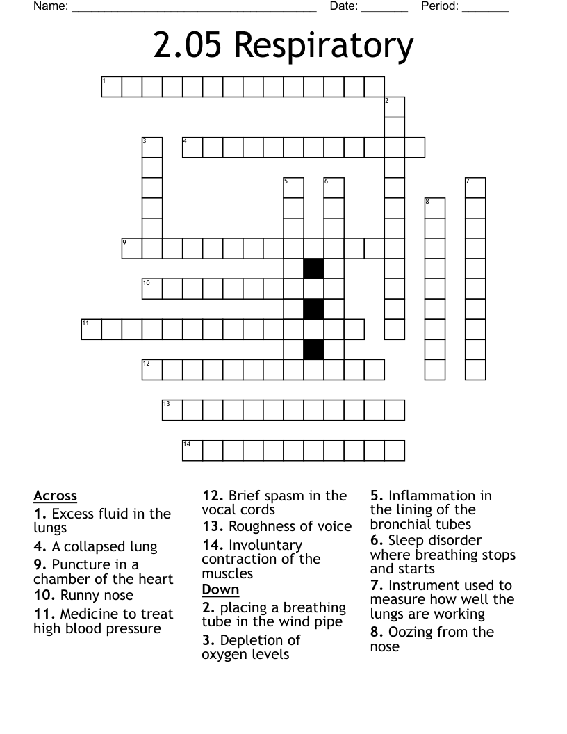 2.05 Respiratory Crossword