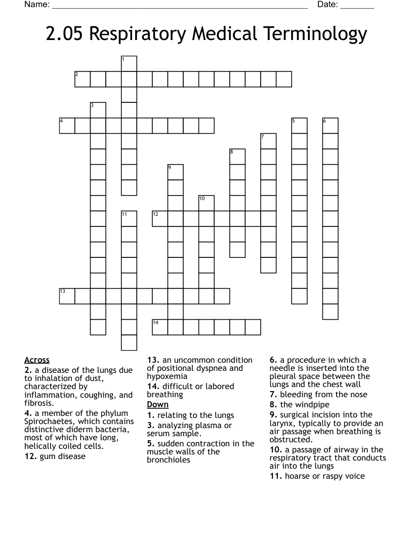 2.05 Respiratory Medical Terminology  Crossword