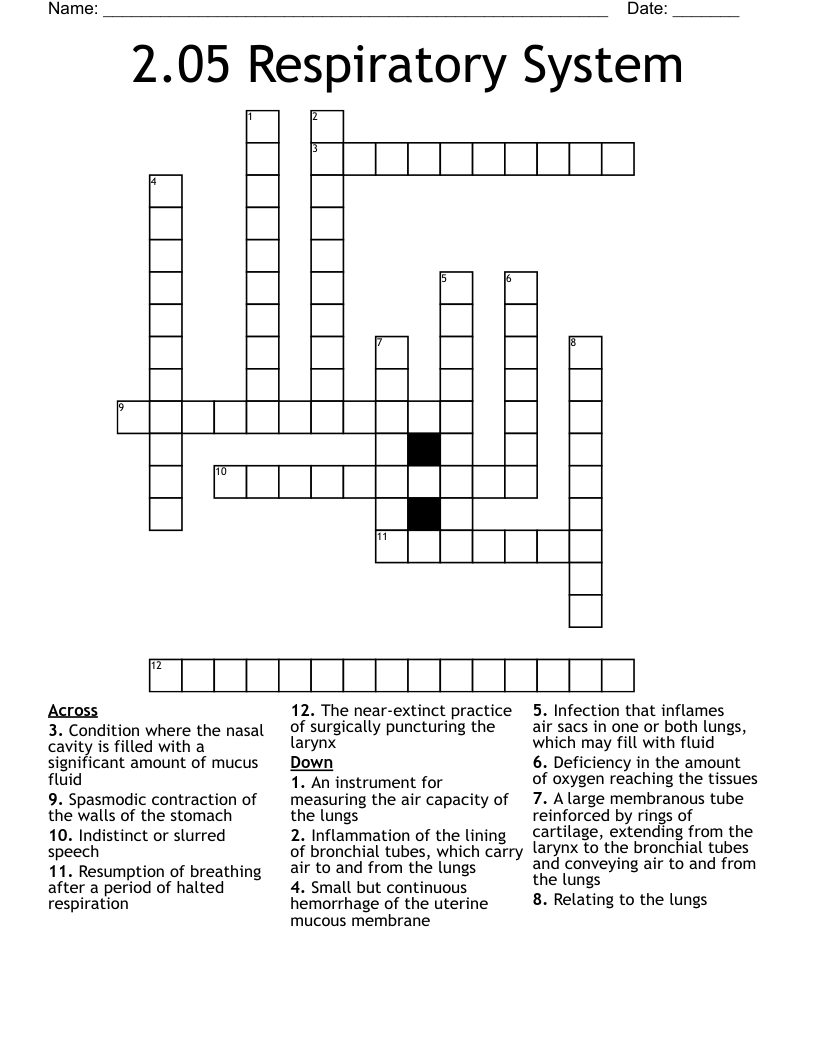 2.05 Respiratory System  Crossword