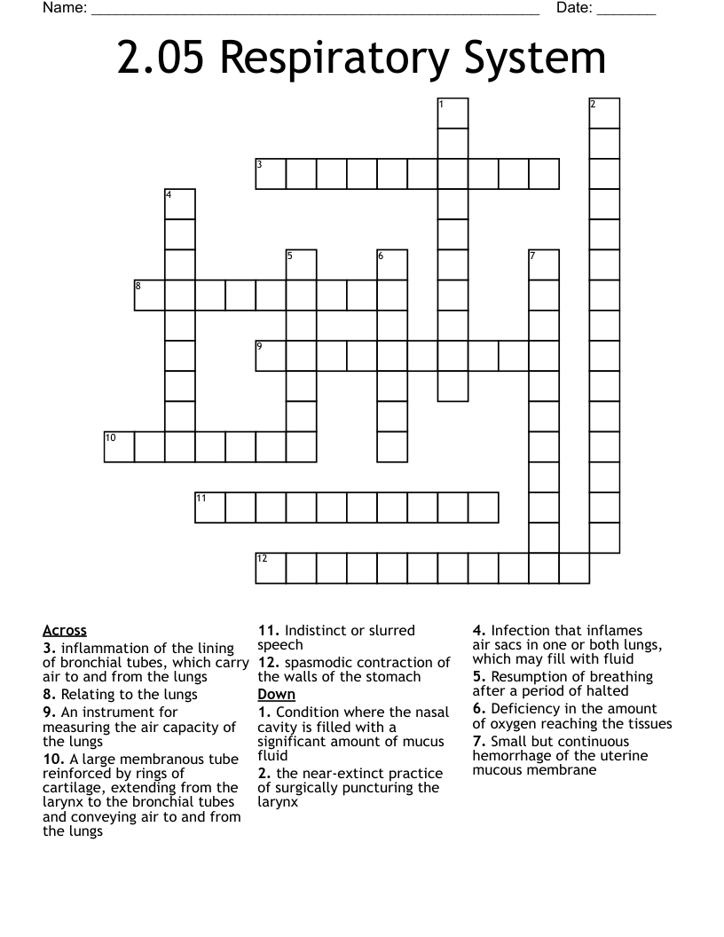 2.05 Respiratory System  Crossword